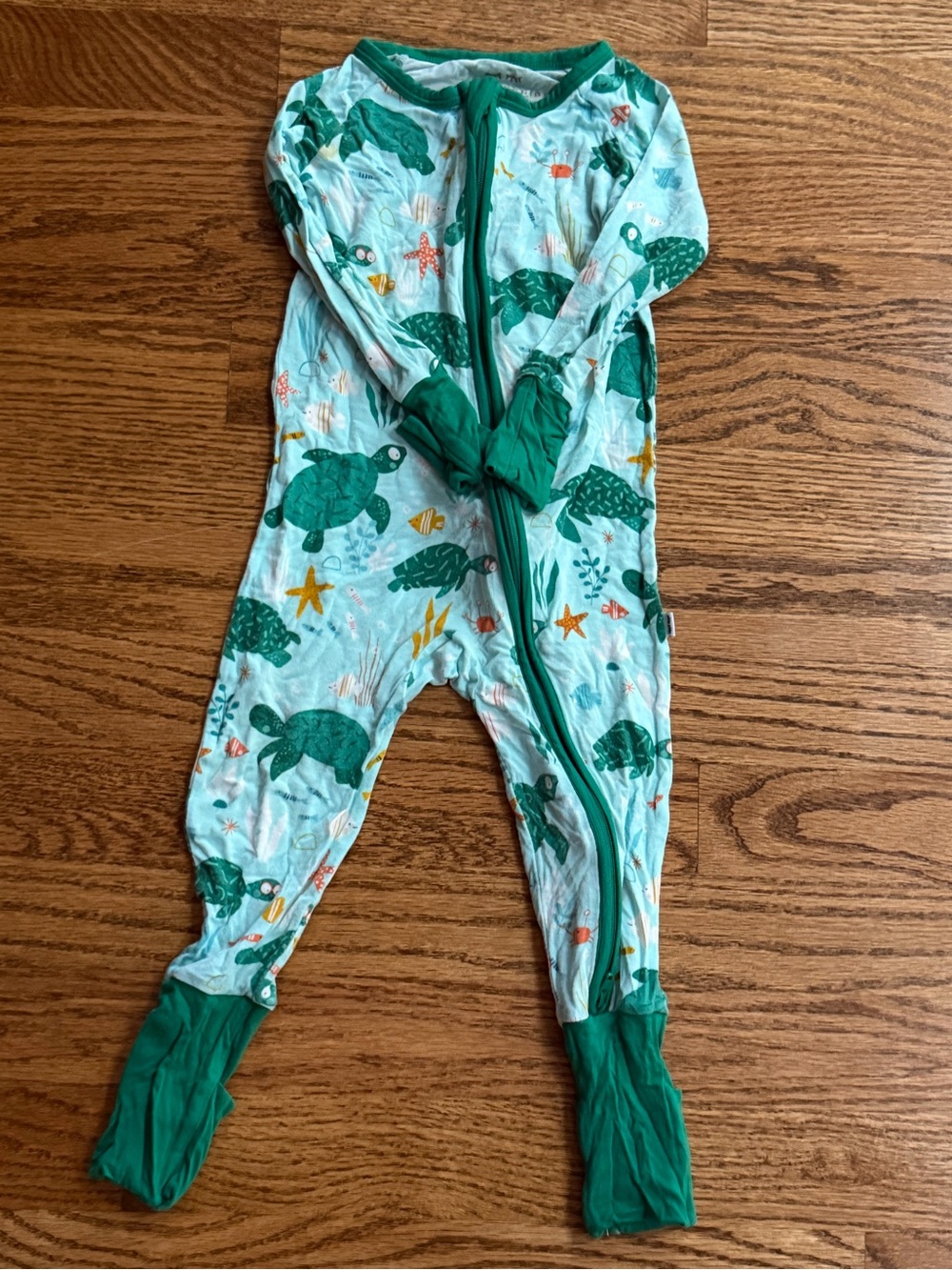Little Sleepies Turtle Pajamas